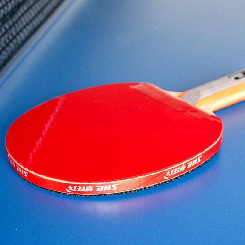 DHS Self-adhesive Table Tennis - огляд і ціна Table Tennis Loki